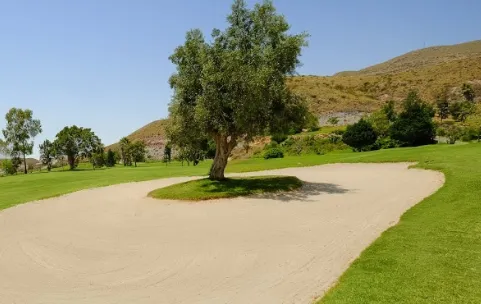 Golf course at Hotel La Envia Spa and Golf Resort in Almeria, featuring a sand bunker with a solitary tree in the center, surrounded by green grass and hills in the background.