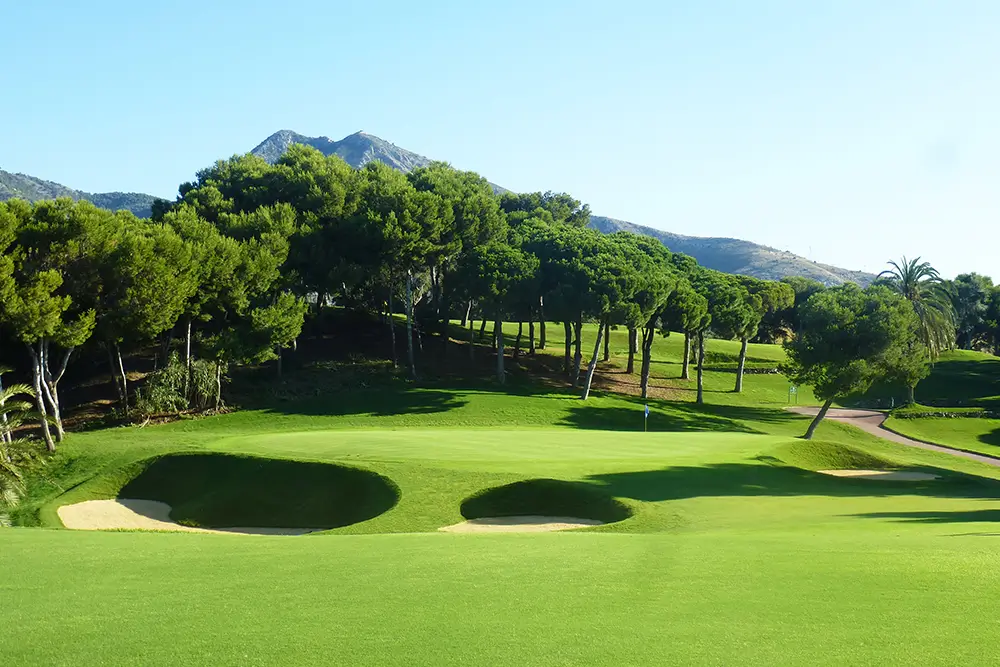 View of Torrequebrada Golf Course featuring a well-maintained green with sand bunkers, surrounded by tall pine trees and with mountains in the background under a clear blue sky.